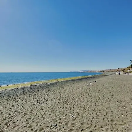 Don Carlos * 塔拉哈勒赫