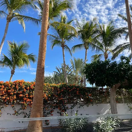 Don Carlos 塔拉哈勒赫