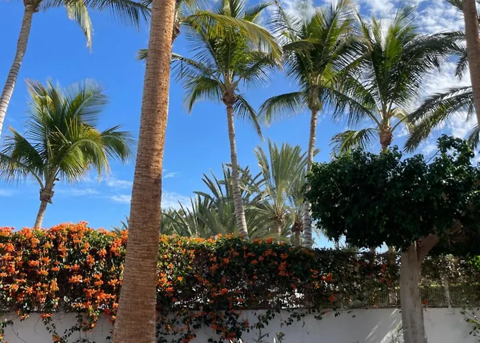 Don Carlos Tarajalejo